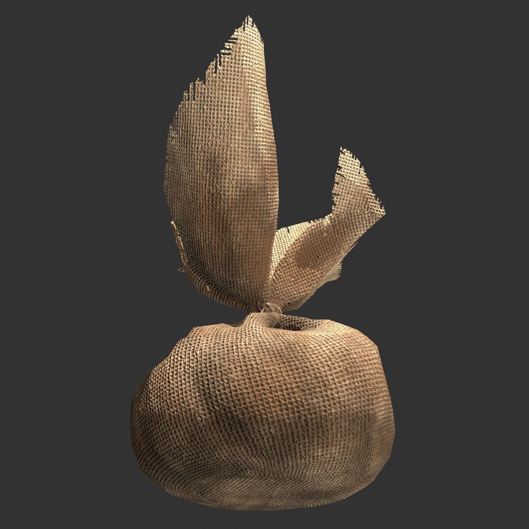 Medieval Cheese Sacks Low-poly 3D model_12
