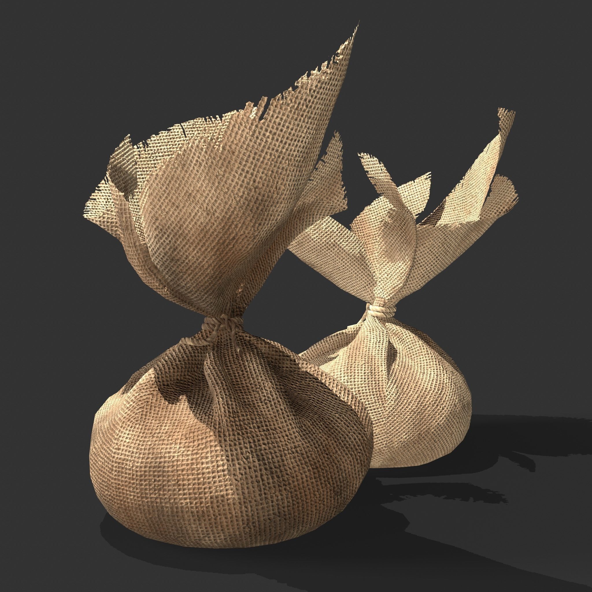 Medieval Cheese Sacks Low-poly 3D model_15