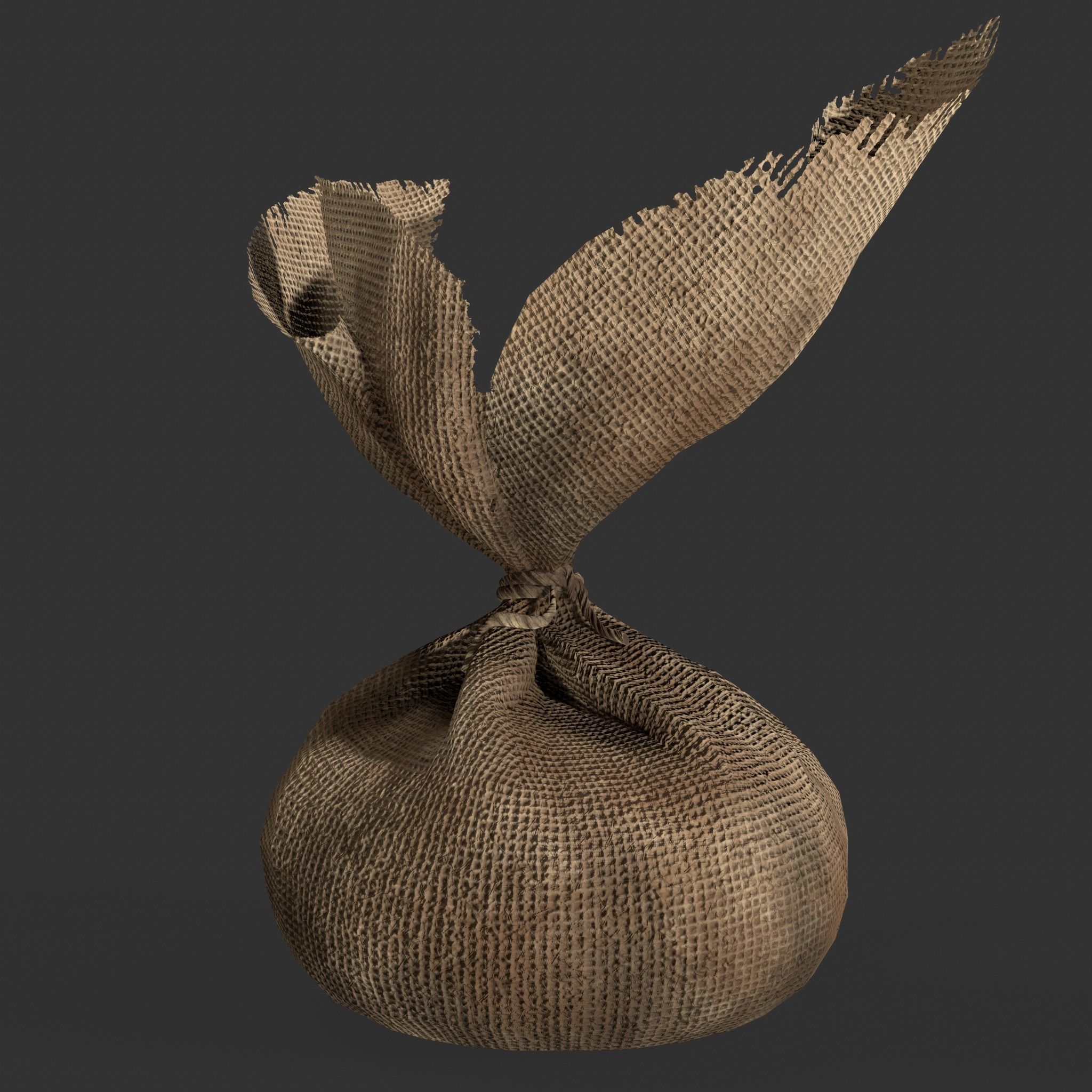 Medieval Cheese Sacks Low-poly 3D model_27