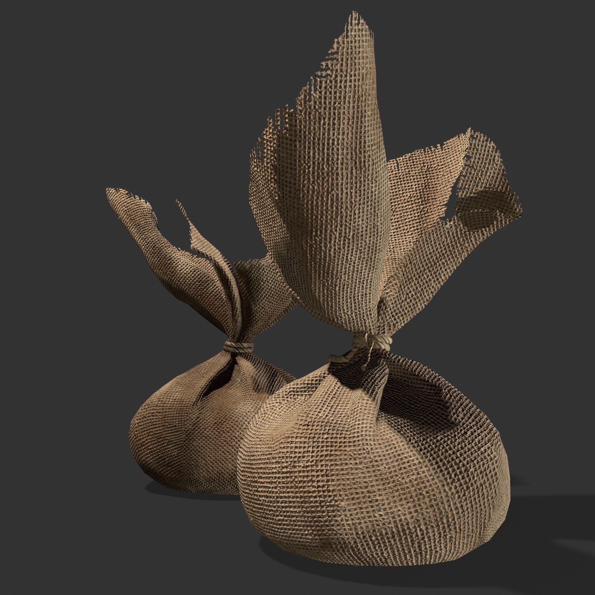 Medieval Cheese Sacks Low-poly 3D model_21
