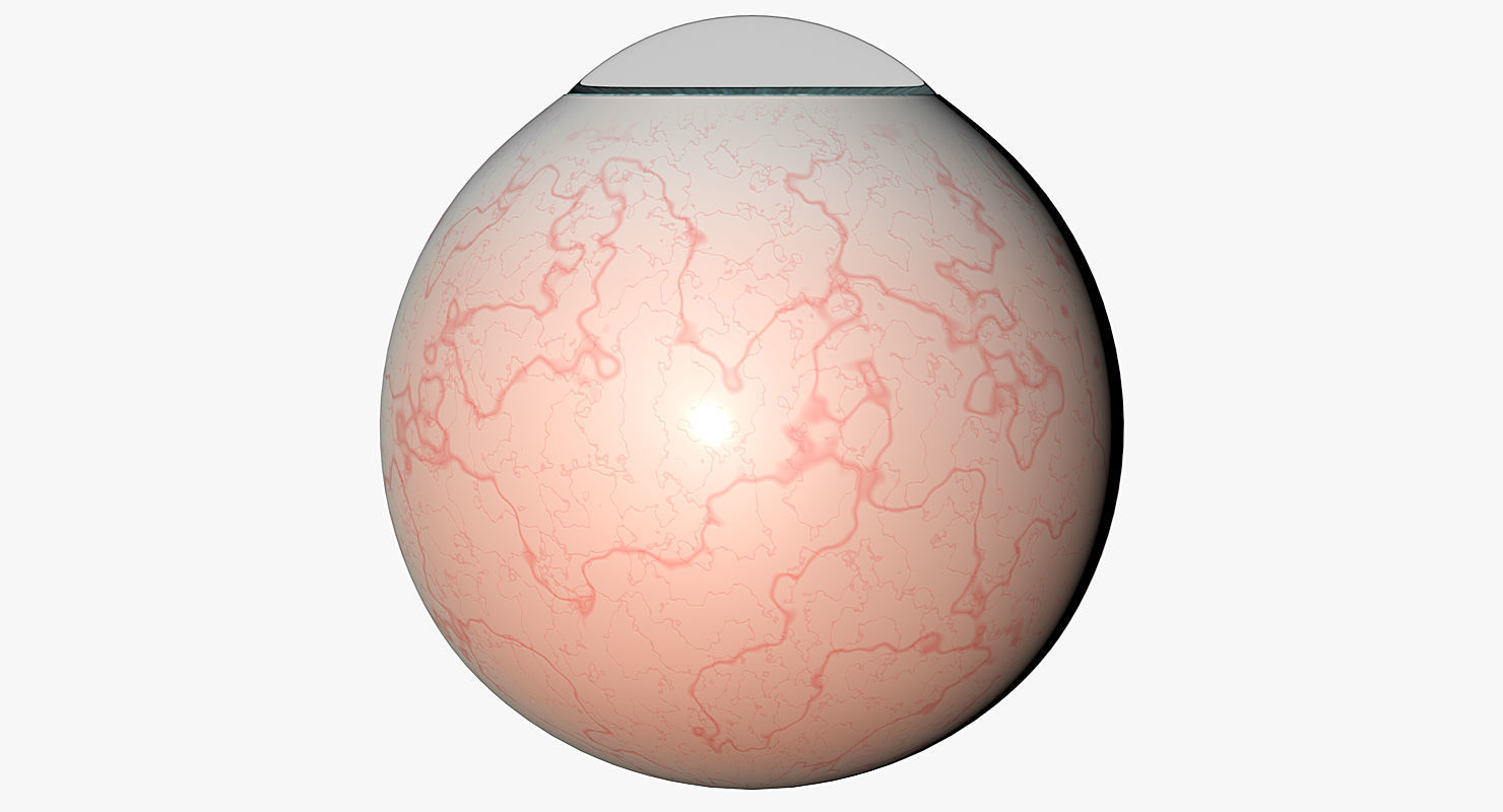 Eyeball 3d Model egg 3D model_5