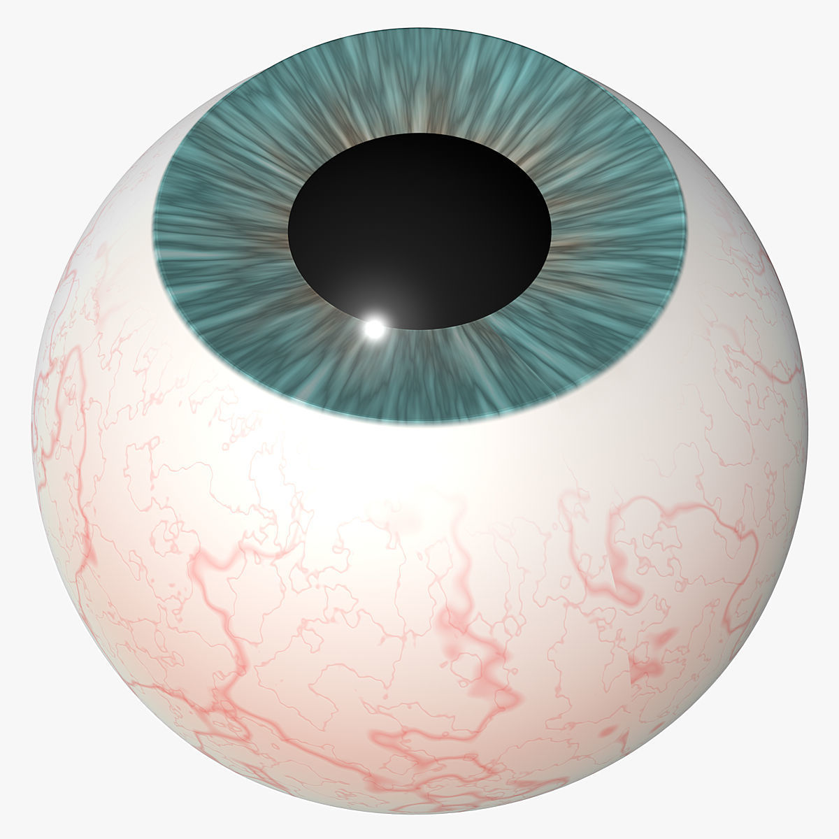 Eyeball 3d Model egg 3D model_1