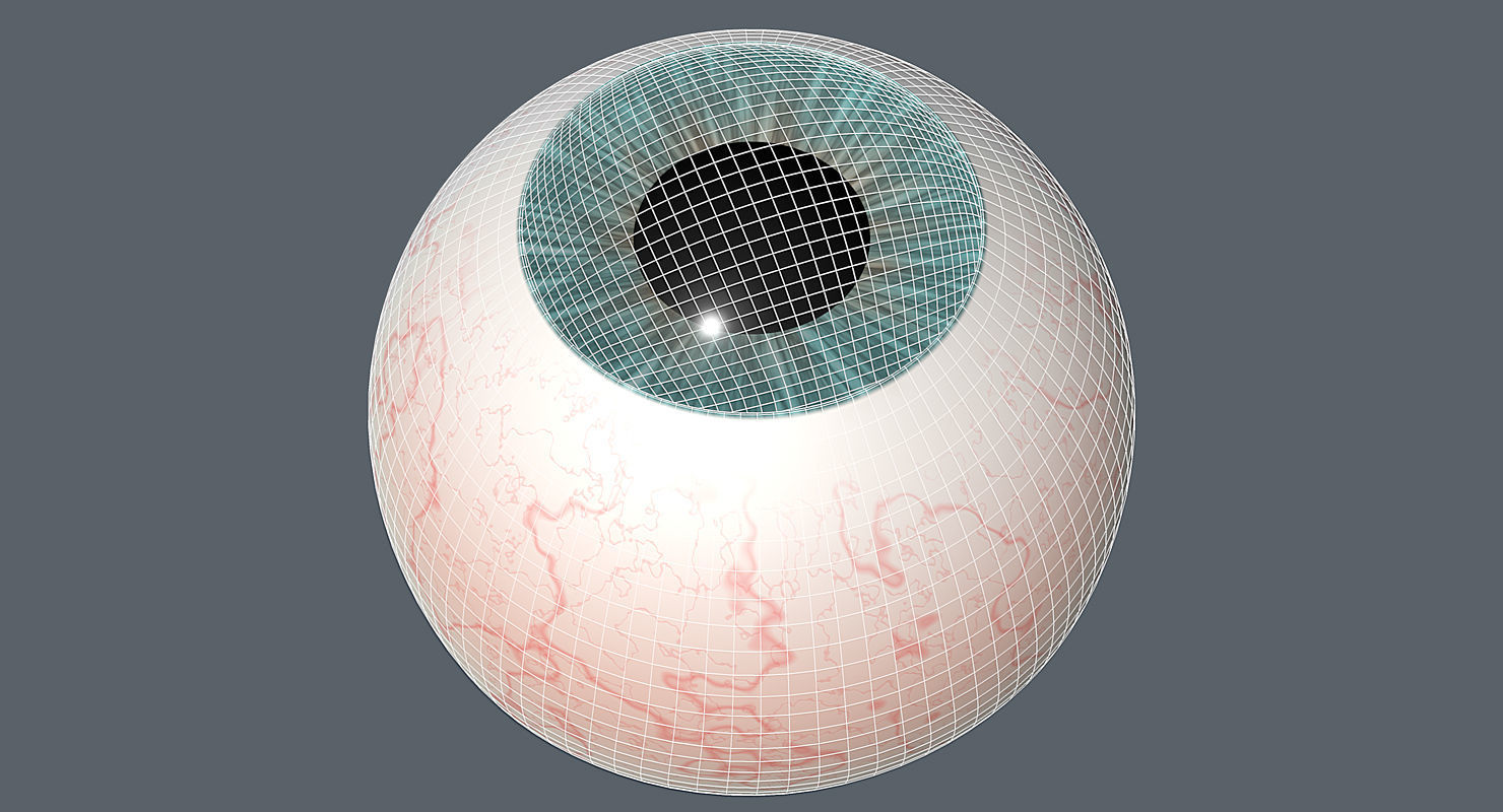 Eyeball 3d Model egg 3D model_2