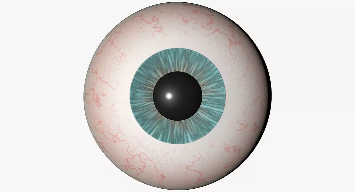Eyeball 3d Model egg 3D model_0