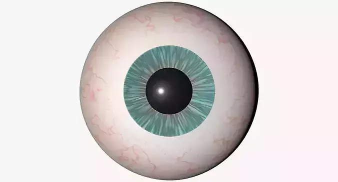 Eyeball 3d Model egg