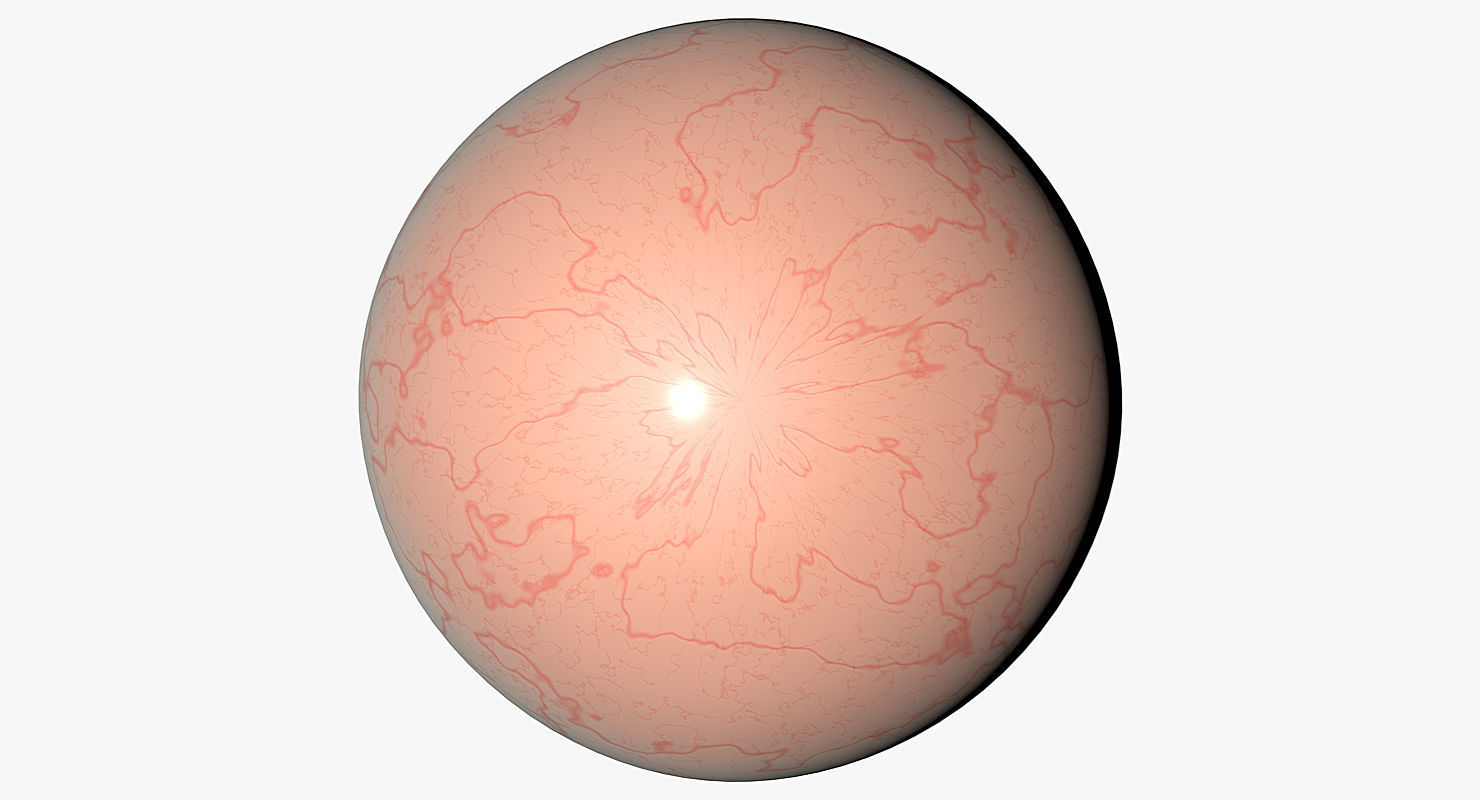 Eyeball 3d Model egg 3D model_8