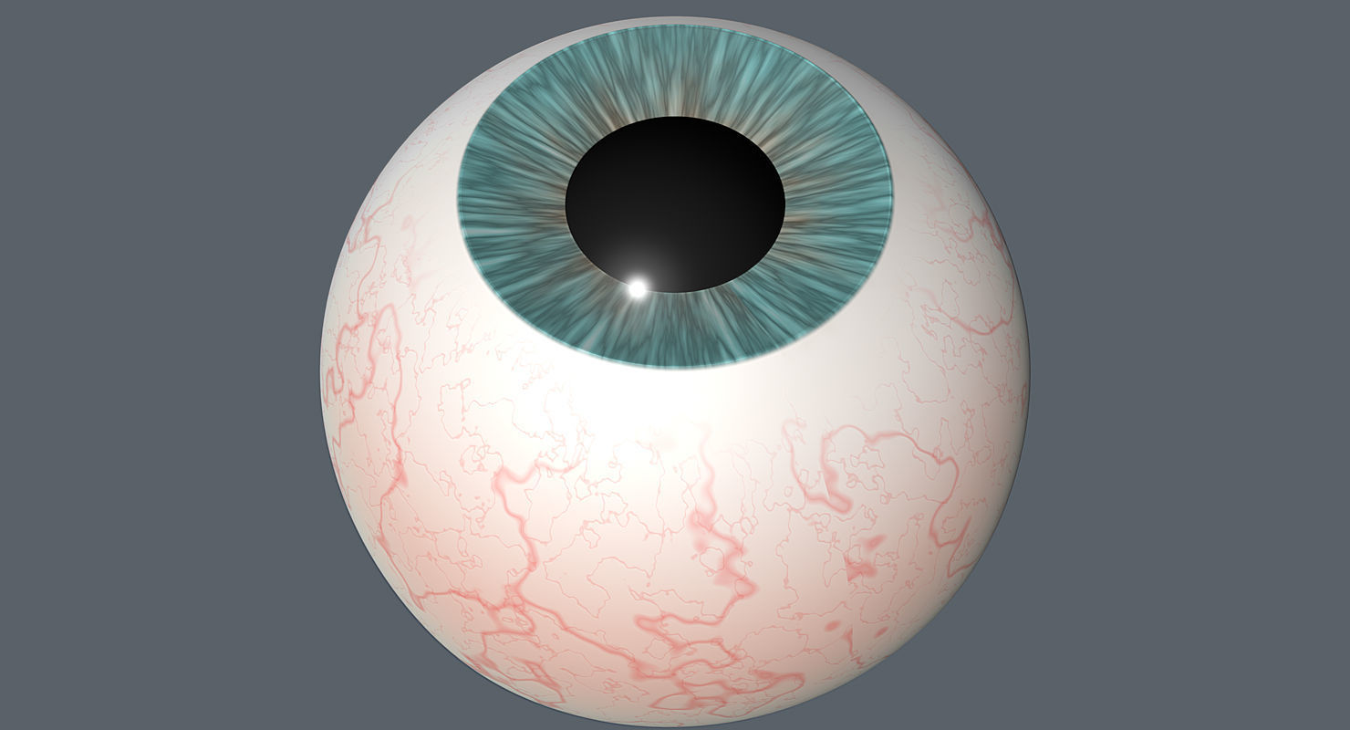 Eyeball 3d Model egg 3D model_3