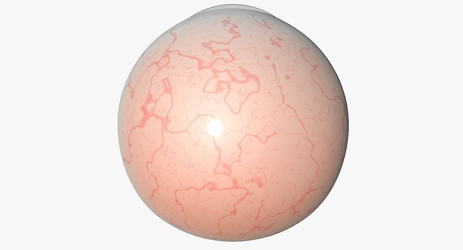 Eyeball 3d Model egg 3D model_7