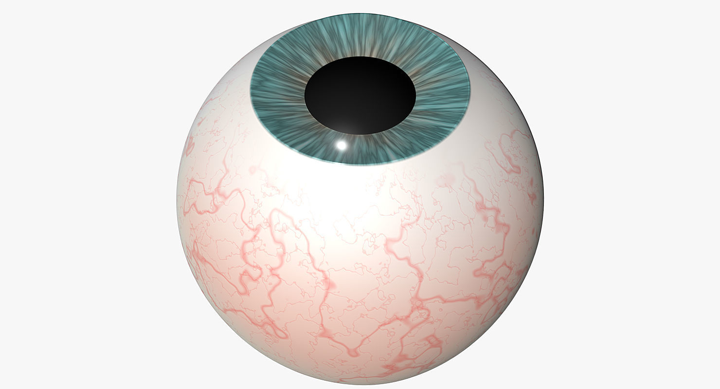 Eyeball 3d Model egg 3D model_4