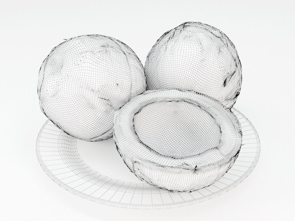 Coconuts  3D model_4