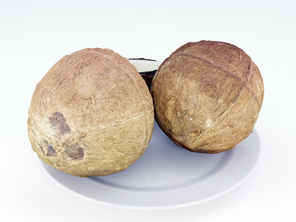 Coconuts  3D model_2