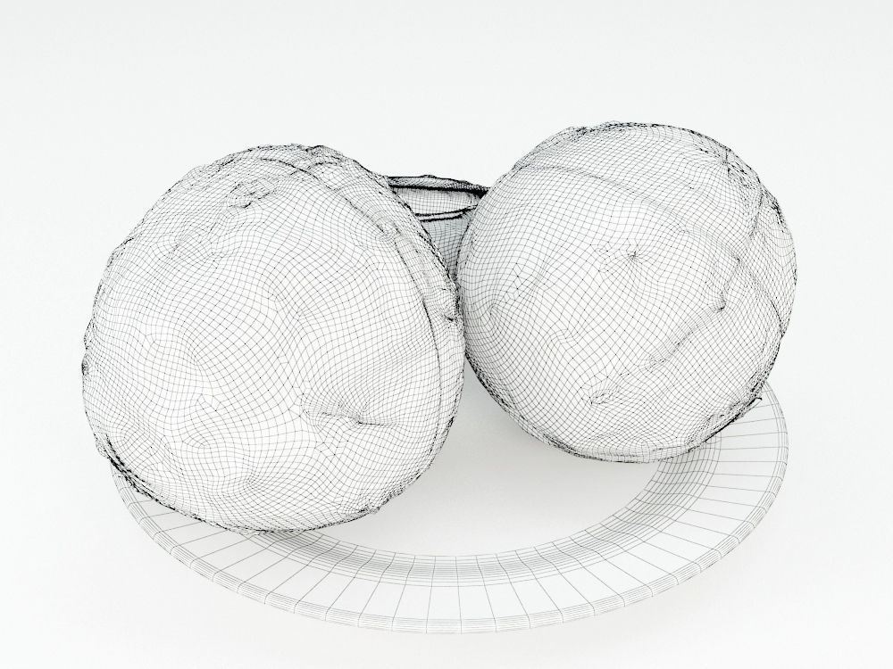 Coconuts  3D model_6