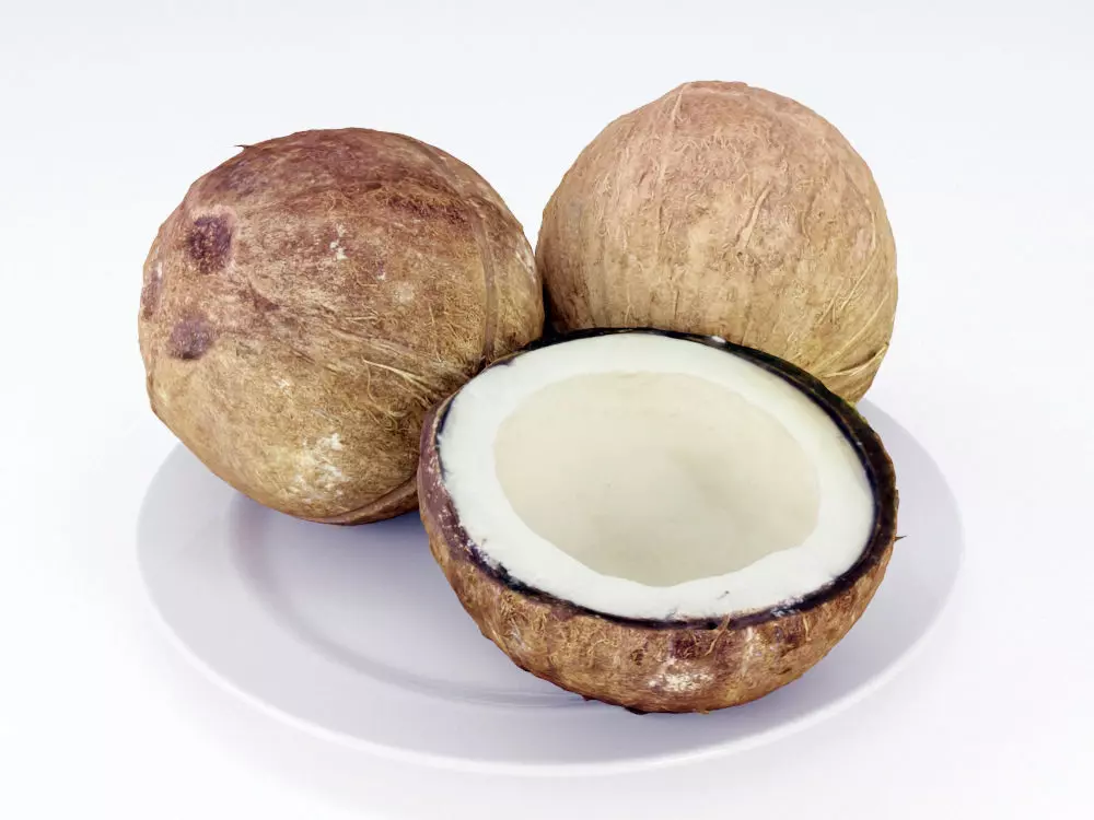 Coconuts  3D model_0