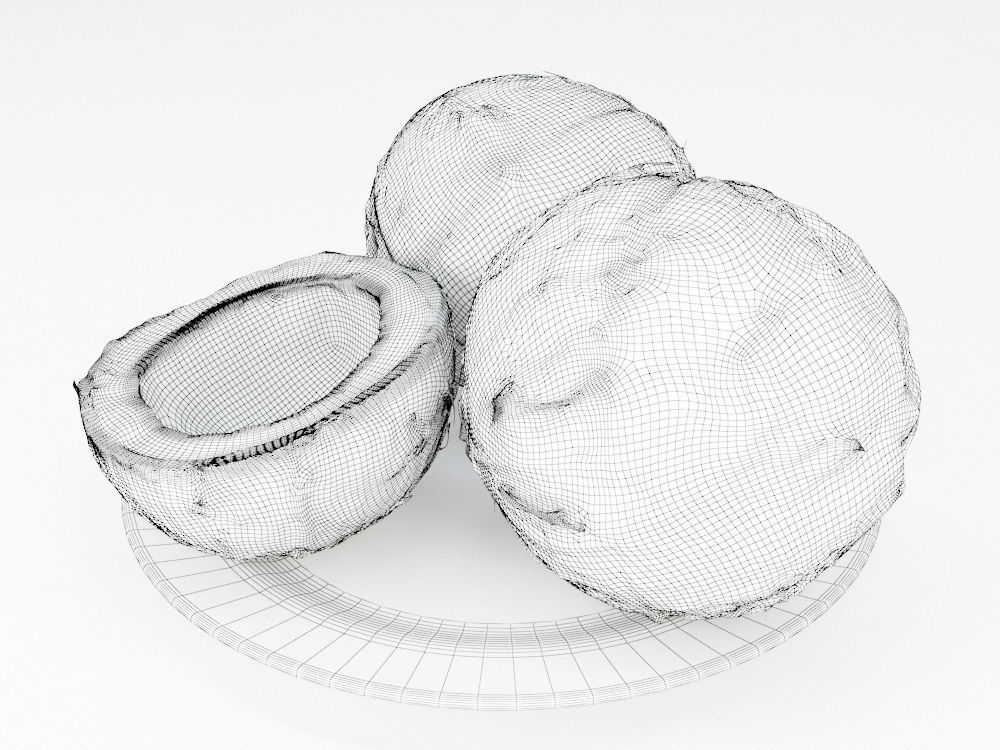 Coconuts  3D model_5
