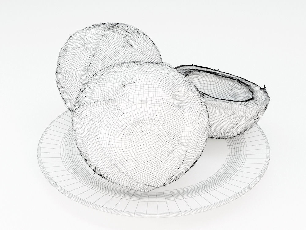 Coconuts  3D model_7