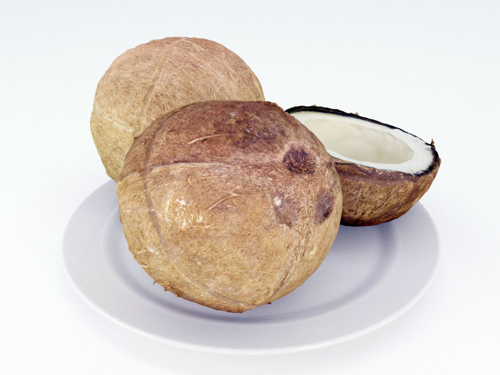 Coconuts  3D model_3