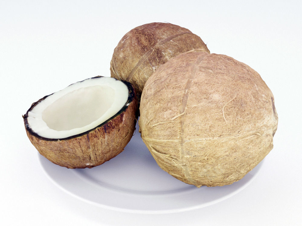 Coconuts  3D model_1
