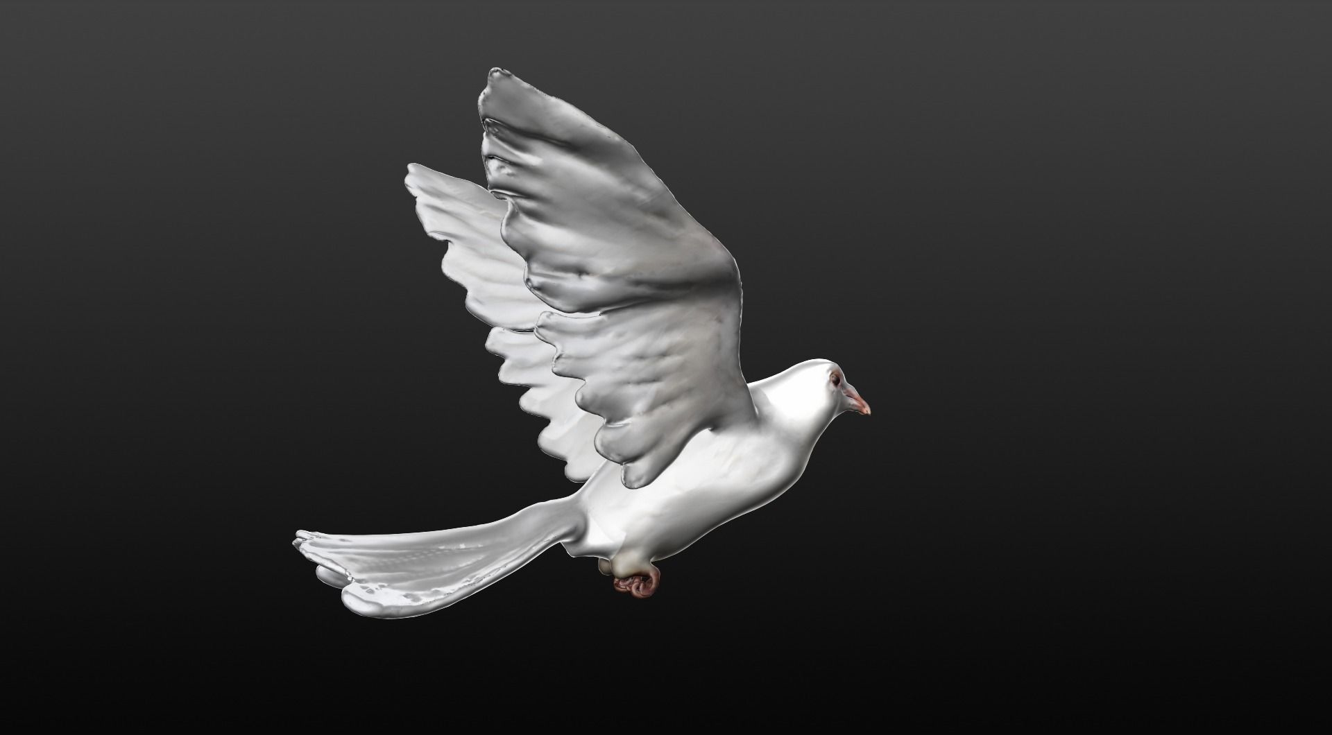 white dove 3D model_1