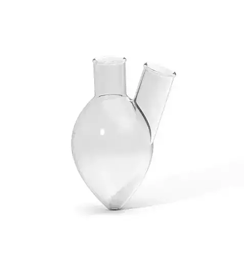 Two Neck Pear Shaped Flask 250ML 3D print model