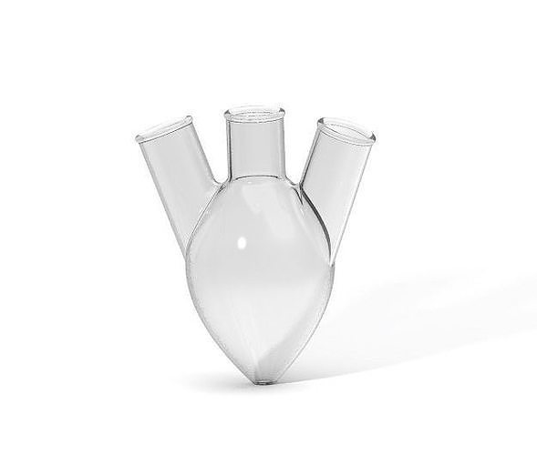 Three Neck Pear Shaped Flask 250ML 3D print model