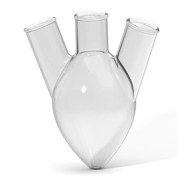 Three Neck Pear Shaped Flask 250ML 3D print model_1