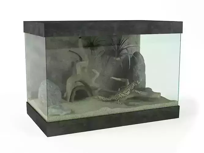House Lizard Tank