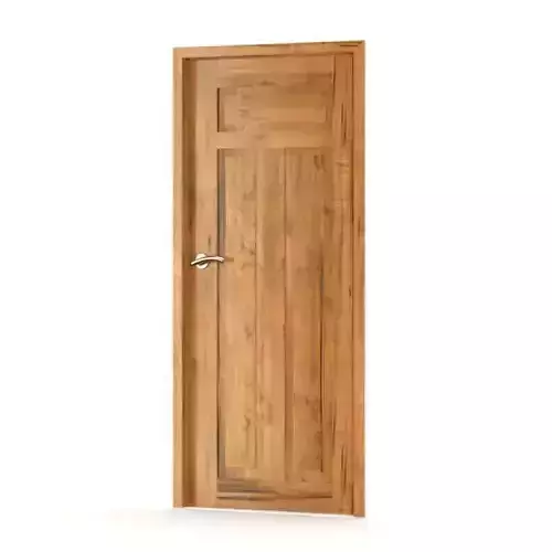 Wooden Door With Chrome Handle
