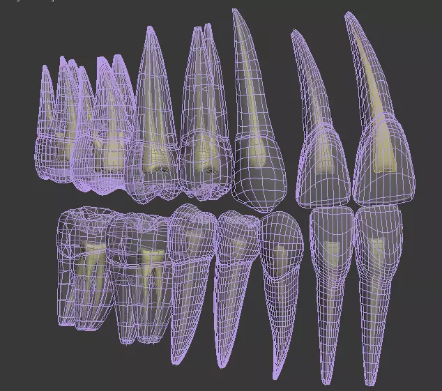 dental inside 3D model_0
