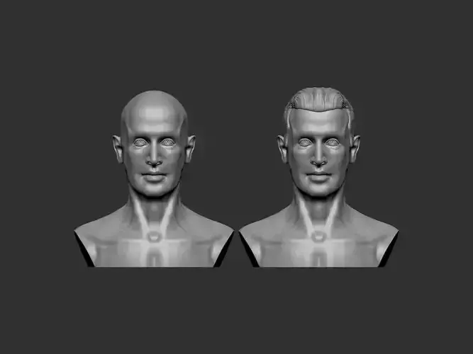 Male Head 1 3D print model