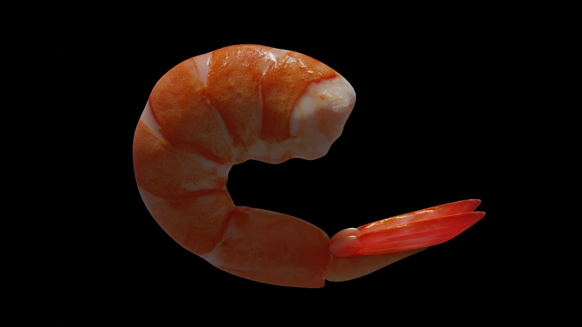 Cooked shrimp Low-poly 3D model_8