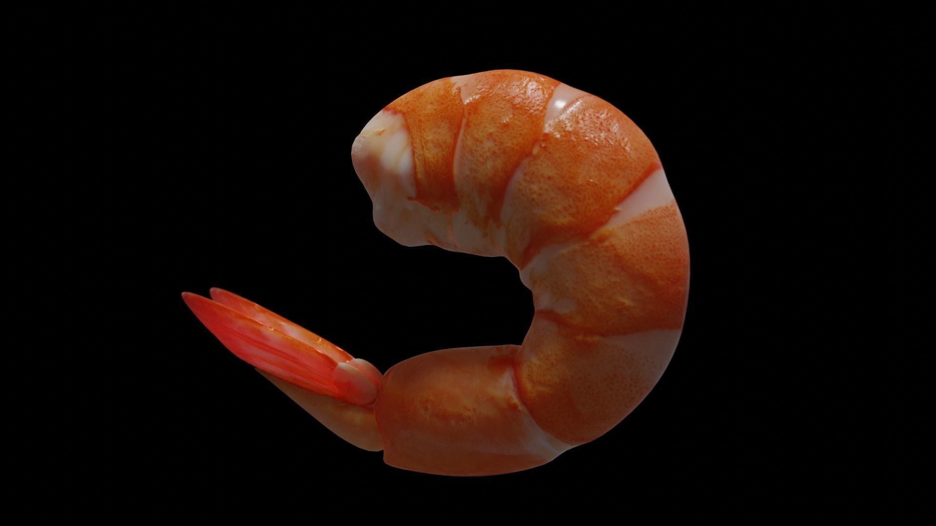 Cooked shrimp Low-poly 3D model_12