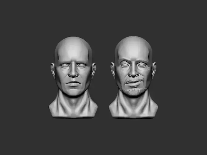 Male Head 4 3D print model