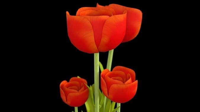 Tulip in a pot Free 3D model
