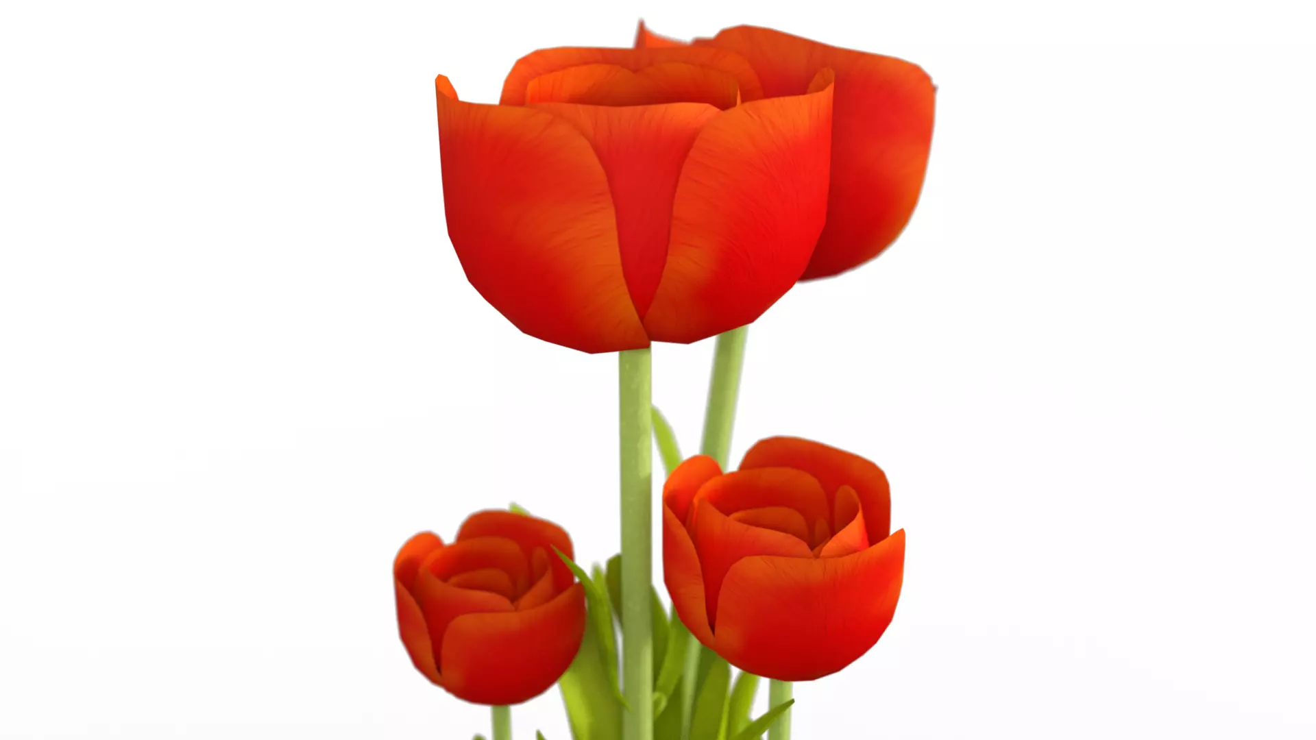 Tulip in a pot Free 3D model