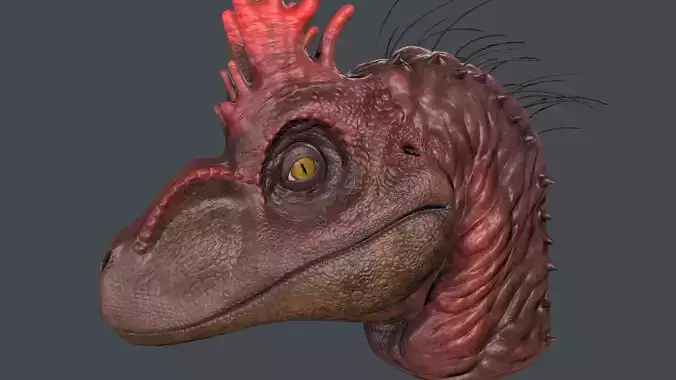 Velociraptor Head