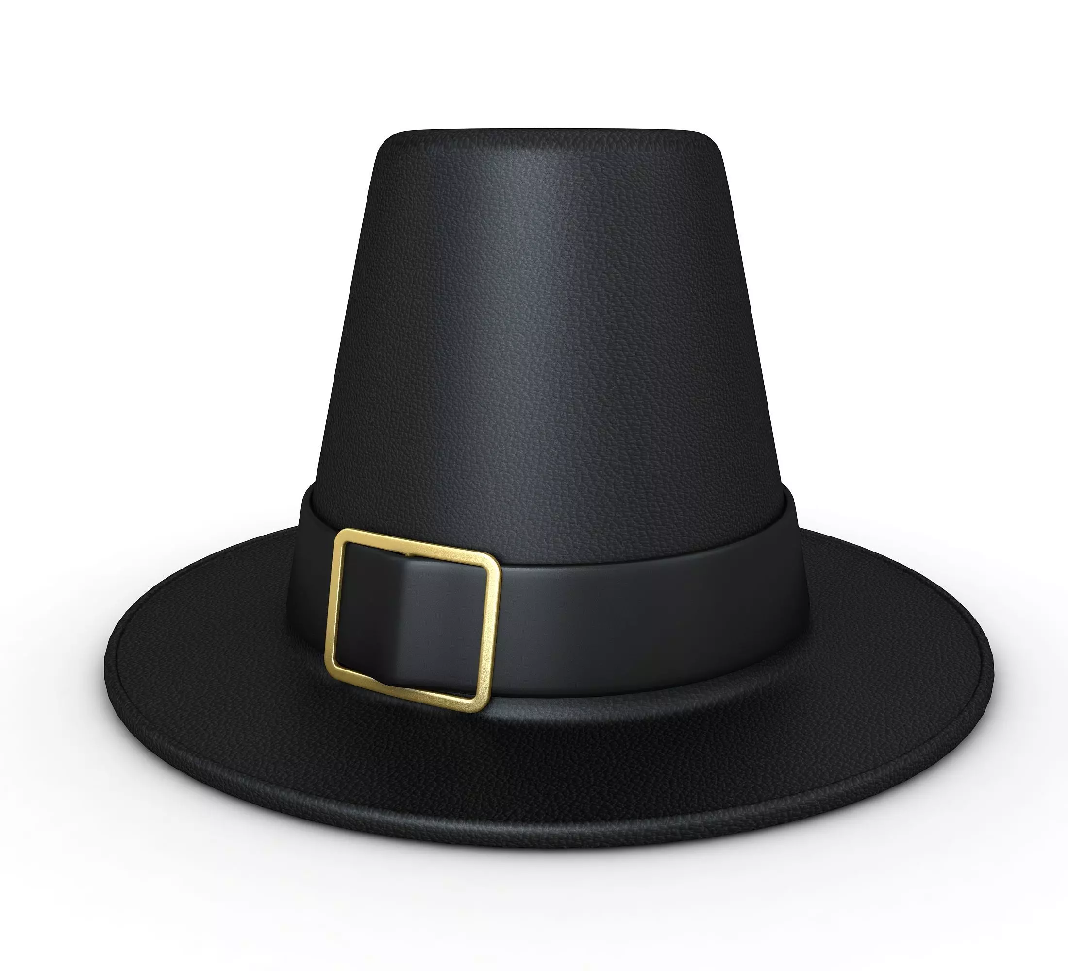 Pilgrim Hat 3D model_0