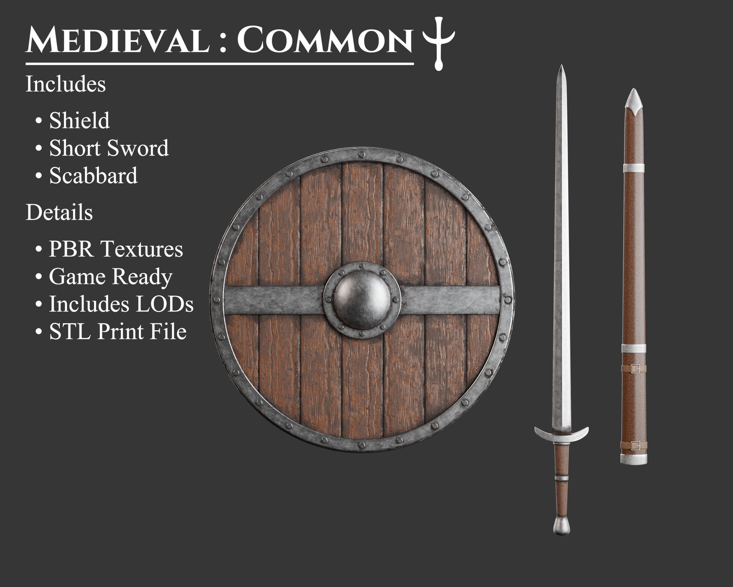 Medieval Collection Common Sword and Shield _1