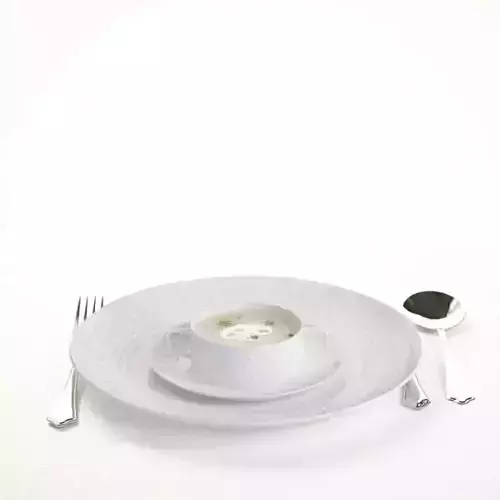 Set Of White Porcelain Dishes With Utensils