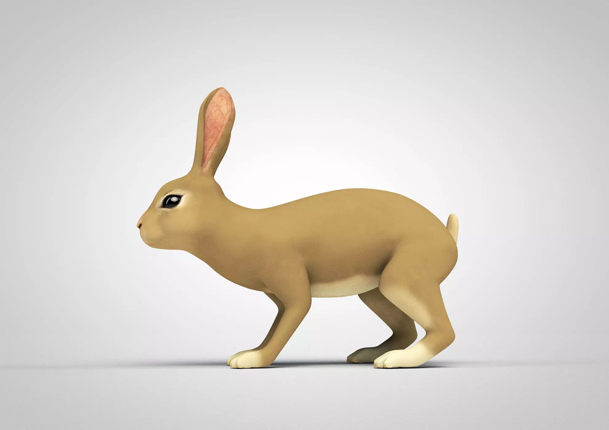 Detailed rabbit with quads  3D model_0