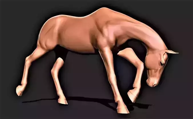 Horse 036