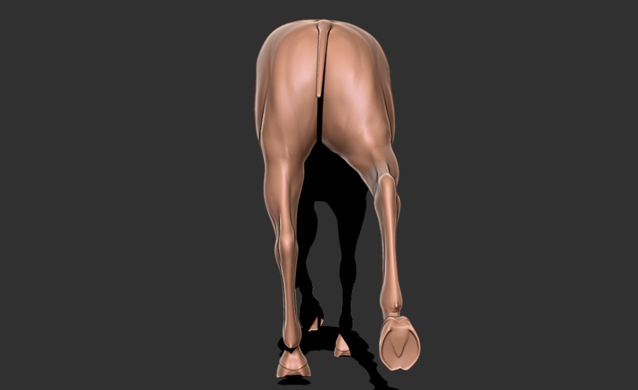 Horse 036 3D print model_6