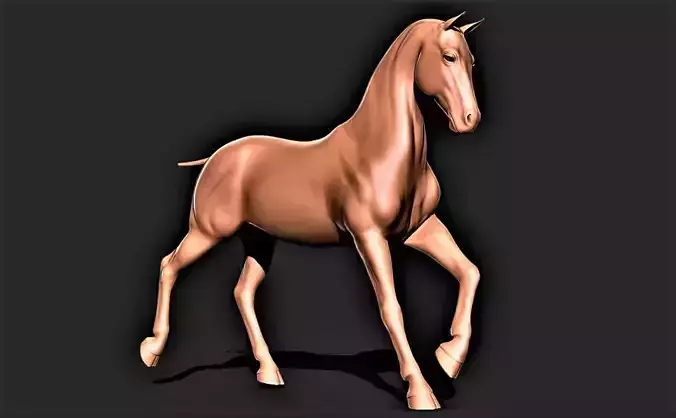 Horse 037