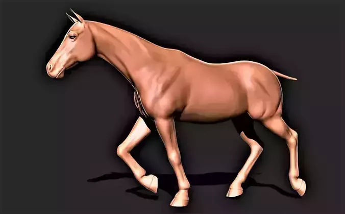 Horse 038