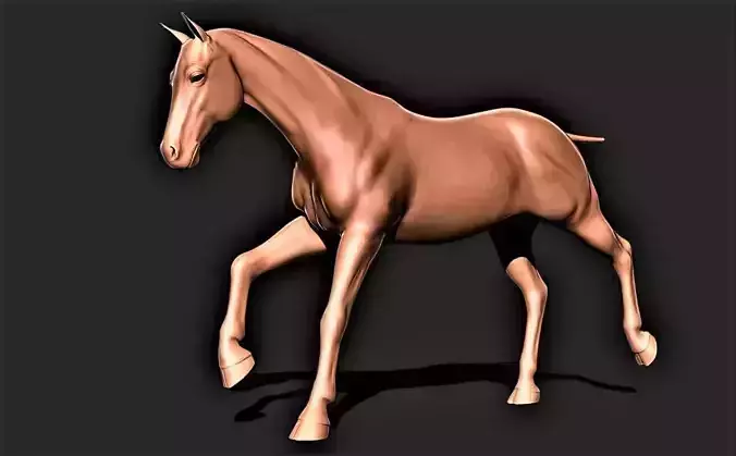 Horse 039