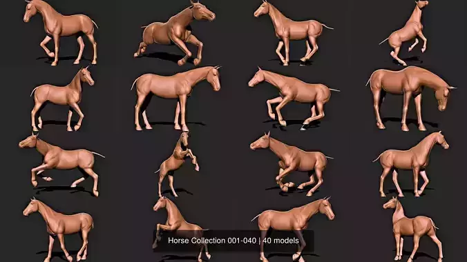 Horse Collection 001-040 