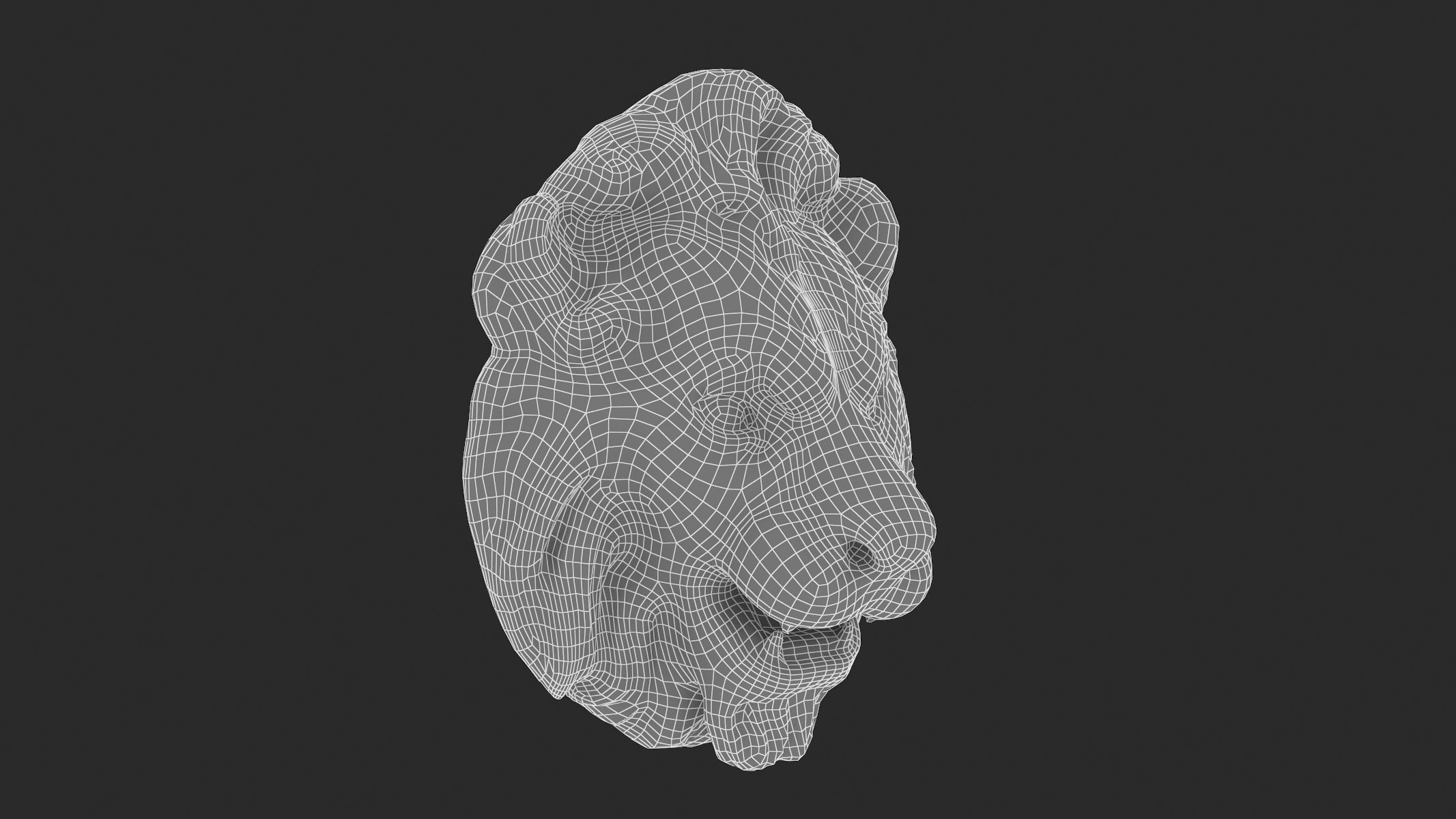 Lion Head 02 3D model_7