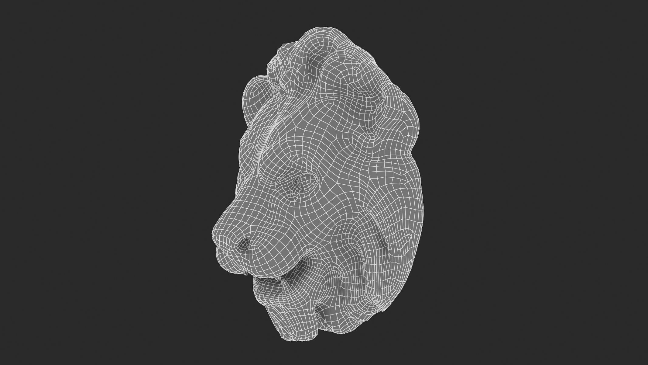 Lion Head 02 3D model_6