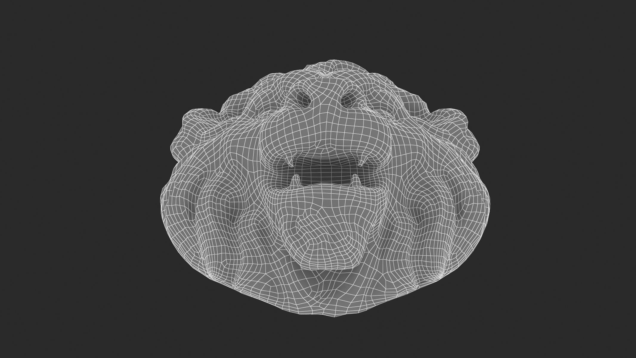 Lion Head 02 3D model_9