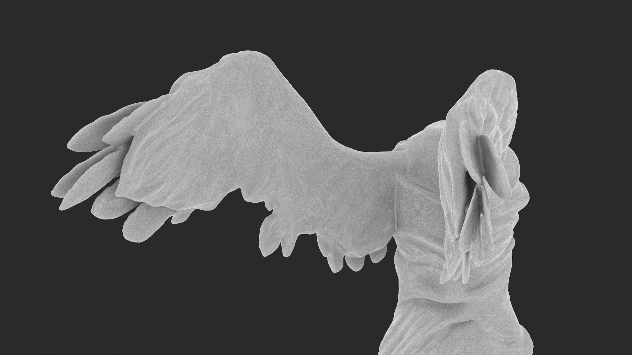 Winged Victory of Samothrace 3D print model_17