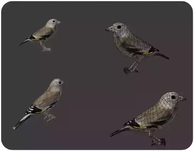 bird golden finch 3D model